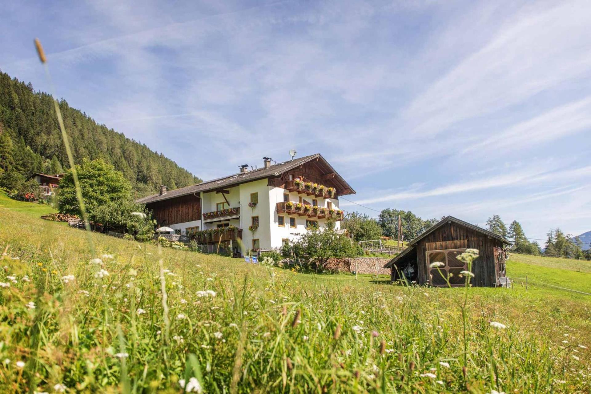 Bauernhof Omesbergerhof Neustift im Stubaital