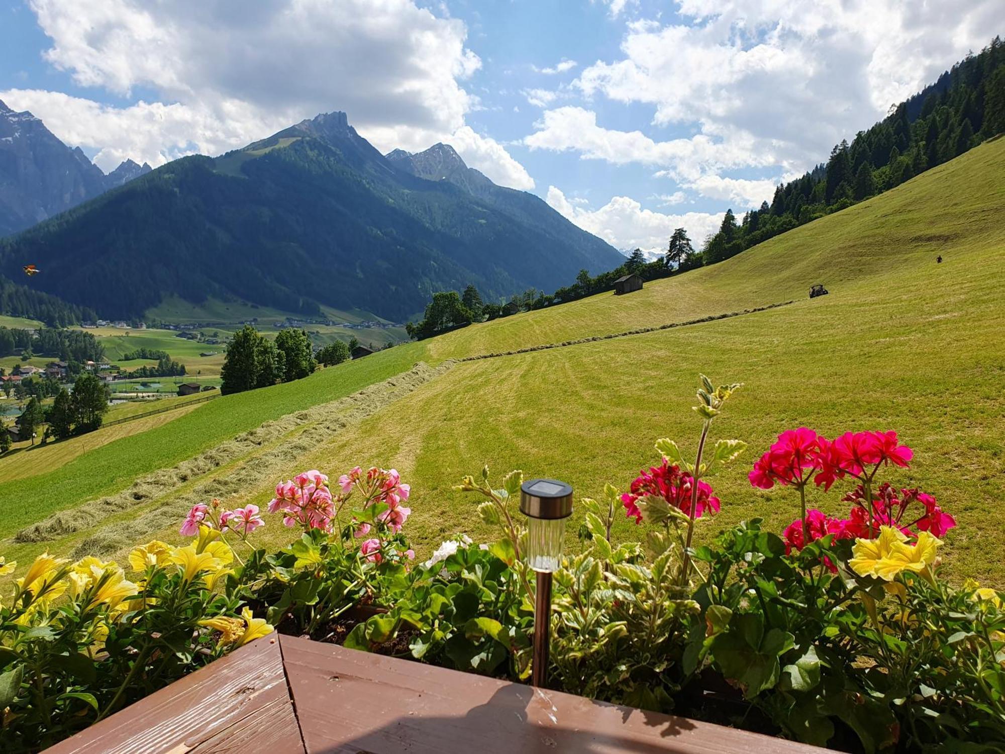 Omesbergerhof Farm stay Neustift im Stubaital