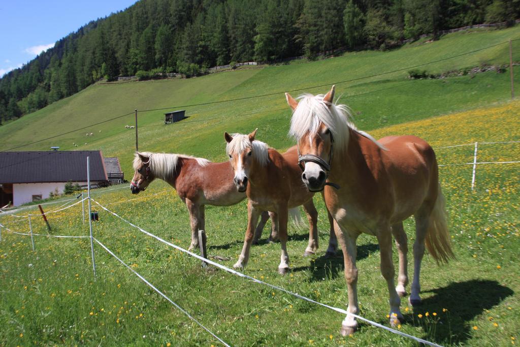 Farm stay Omesbergerhof